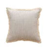 Linen Minimalistic Cushion