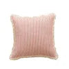 Linen Minimalistic Cushion