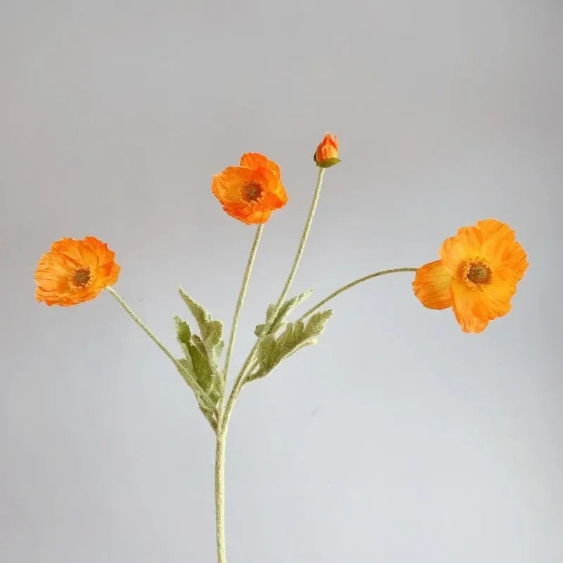 Silk Poppy Arrangement