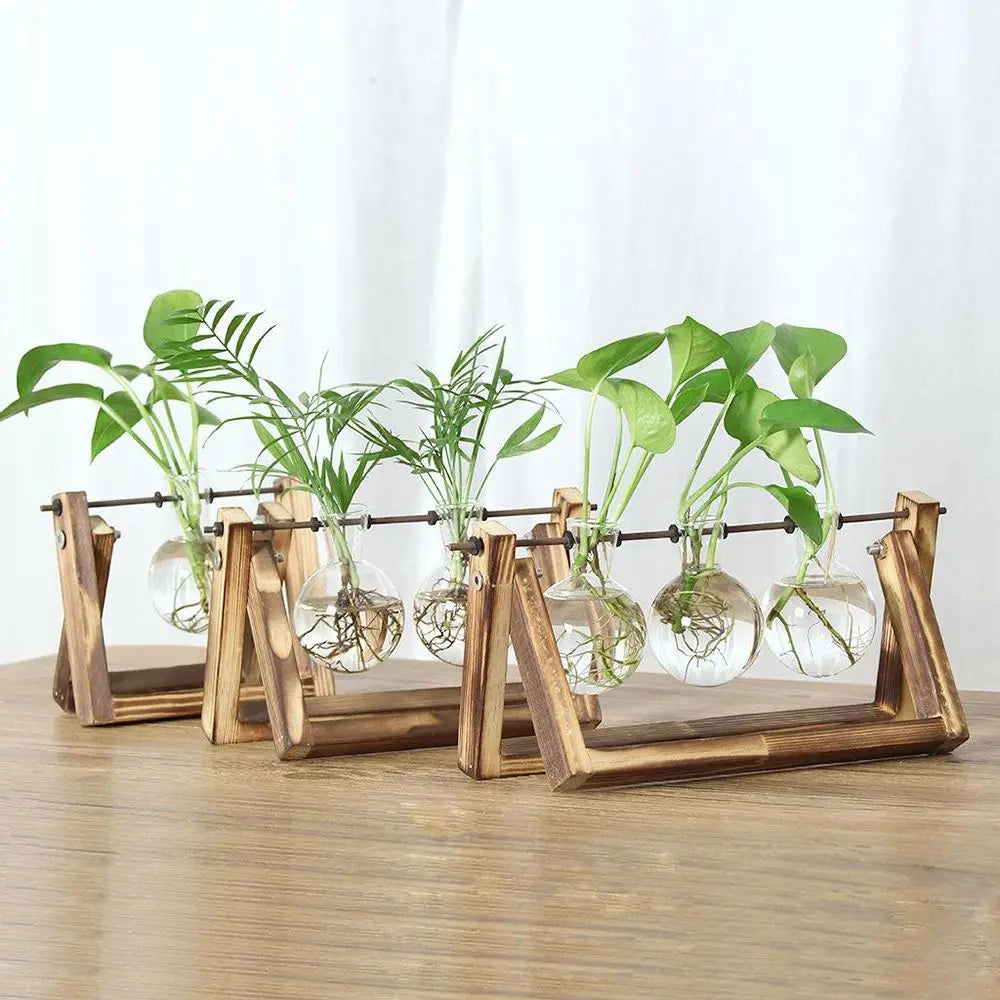 Vintage Hydroponic Vases