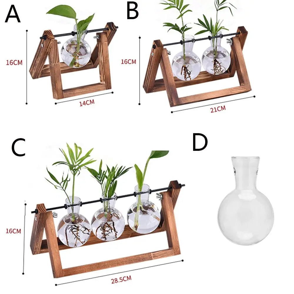 Vintage Hydroponic Vases