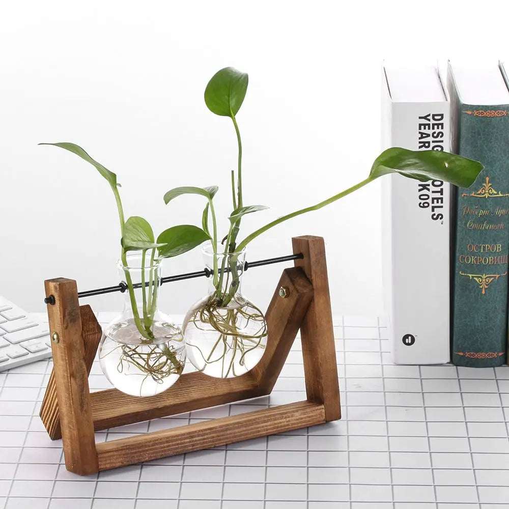 Vintage Hydroponic Vases