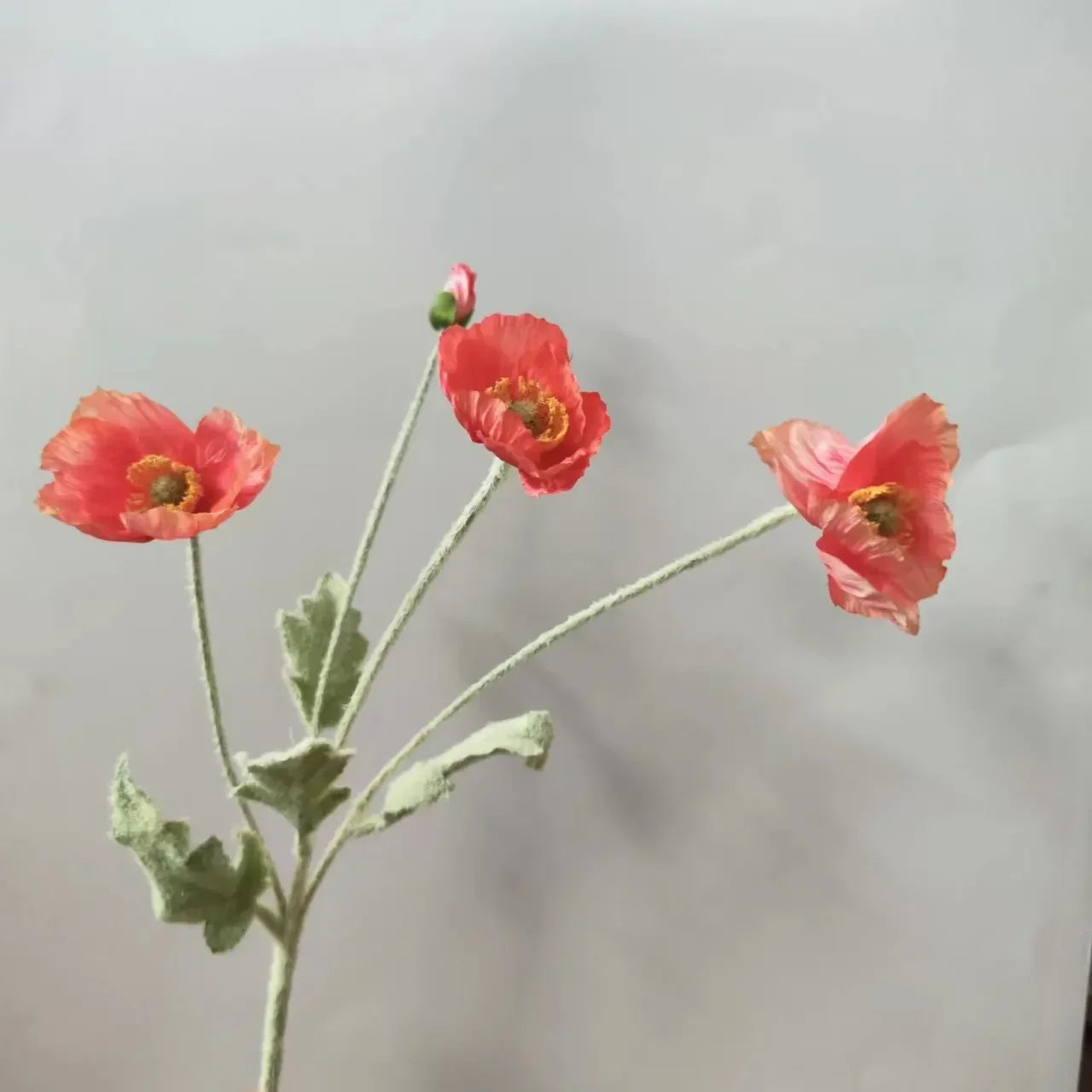 Silk Poppy Arrangement