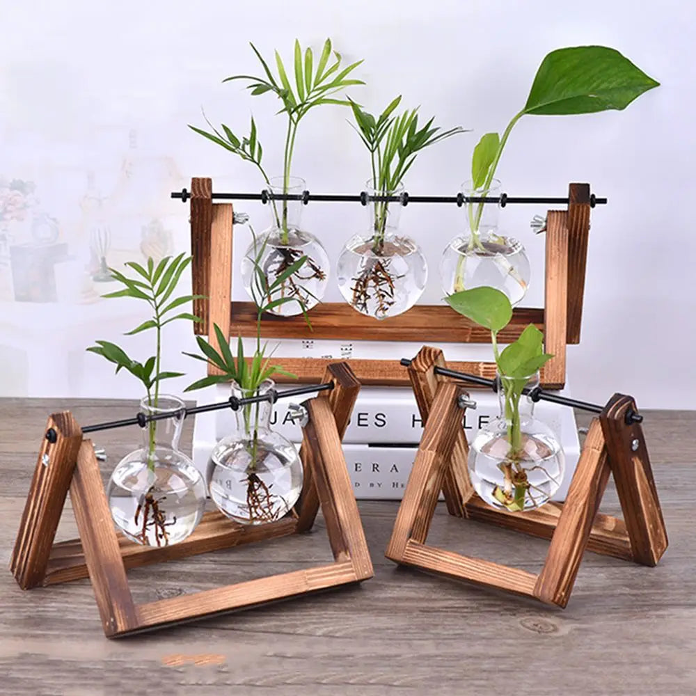 Vintage Hydroponic Vases