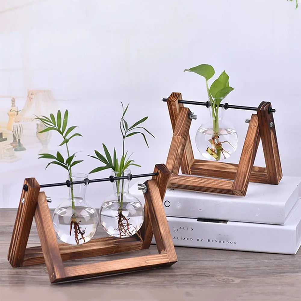 Vintage Hydroponic Vases